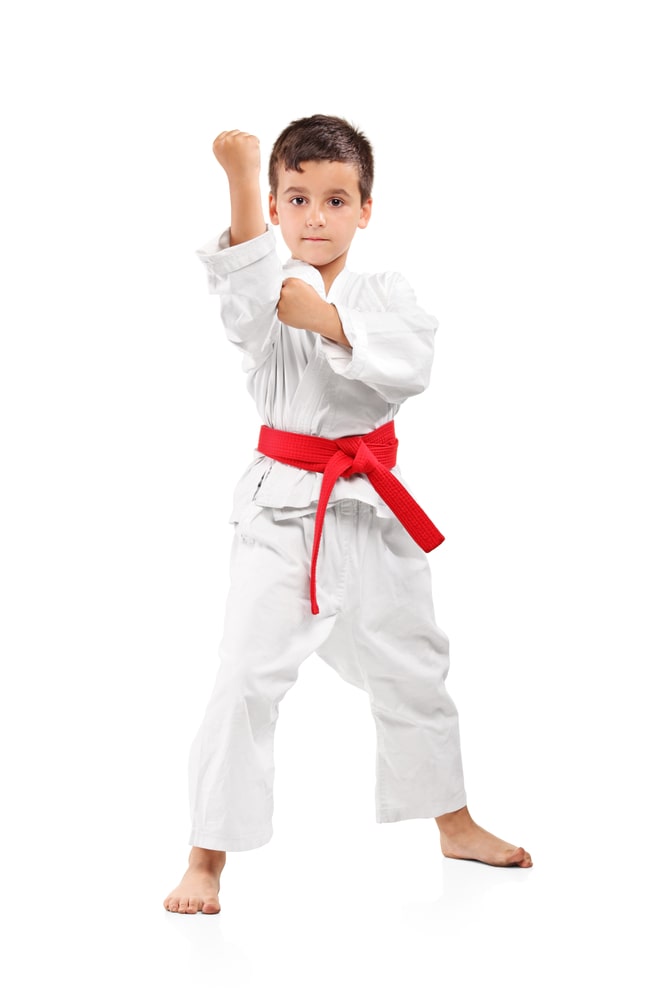 Child Doing A Karate Pose