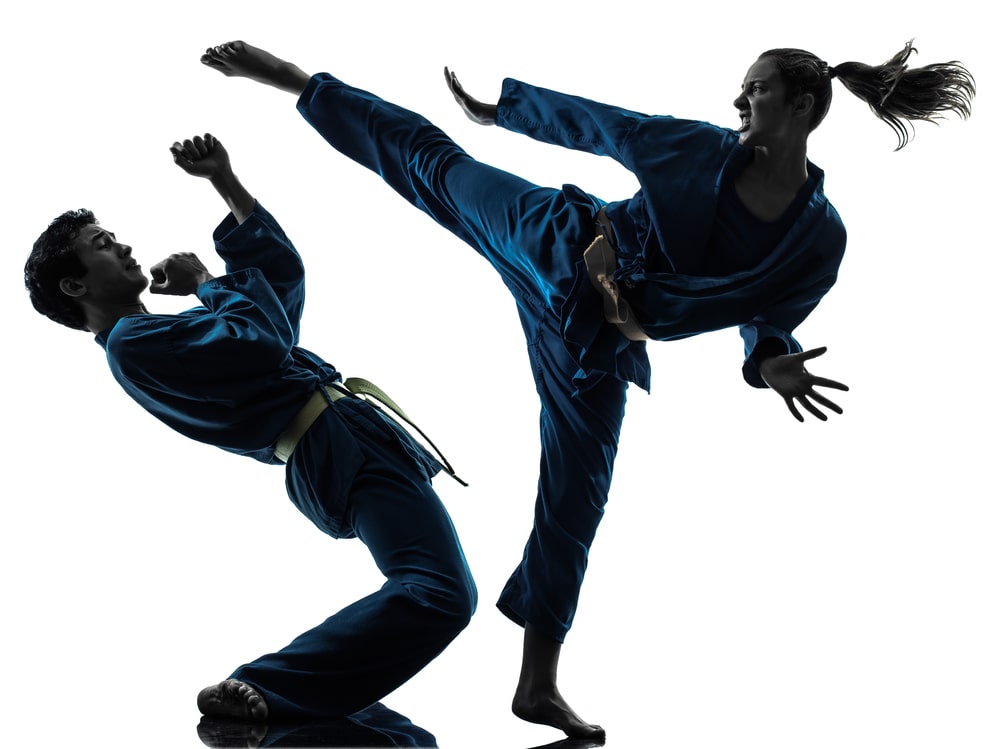 Silhouettes Of People Karate Fighting